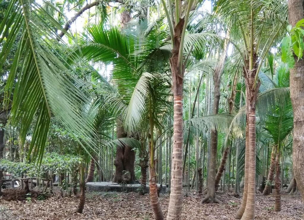 Nivaant @ Vicharays Apartment Alibag Luaran gambar