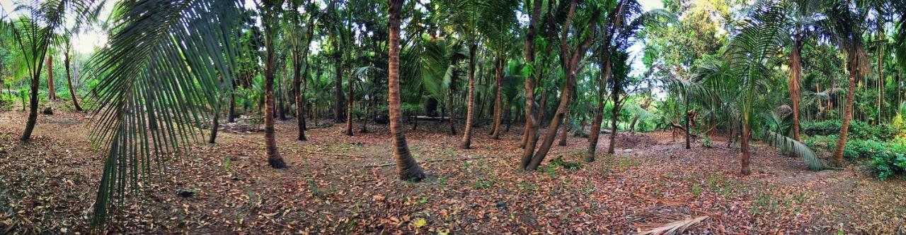 Nivaant @ Vicharays Apartment Alibag Luaran gambar