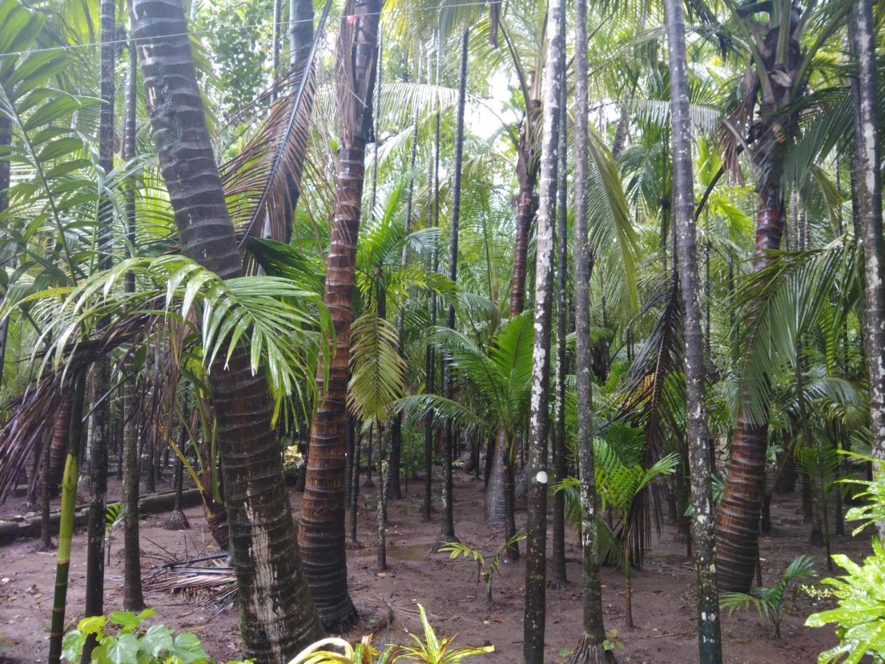 Nivaant @ Vicharays Apartment Alibag Luaran gambar